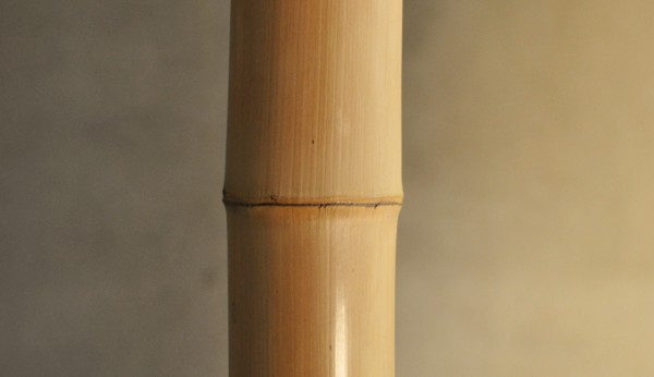 bamboo for architecture / takehei bamboo Japan