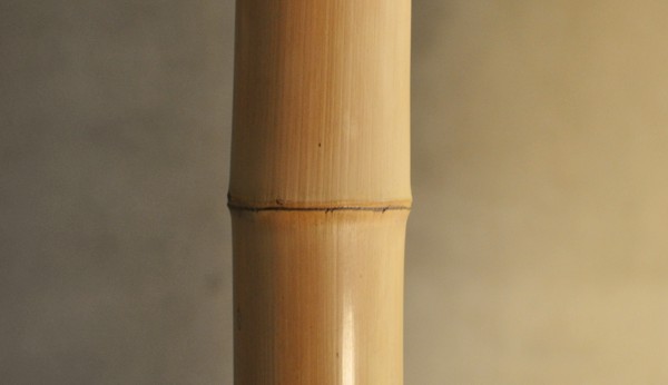 bamboo for architecture / takehei bamboo Japan